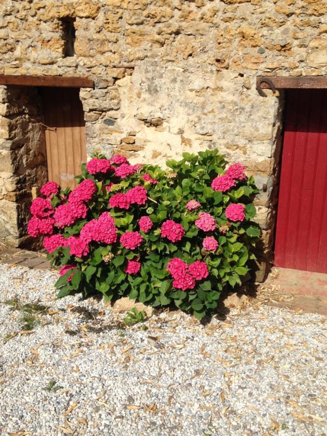 Le Clos De La Viniere Jard-sur-Mer Exteriör bild